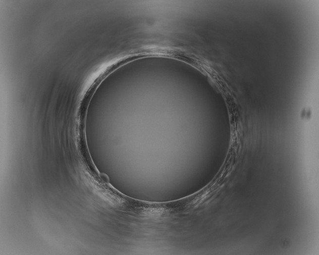 X0000111820342200907231323