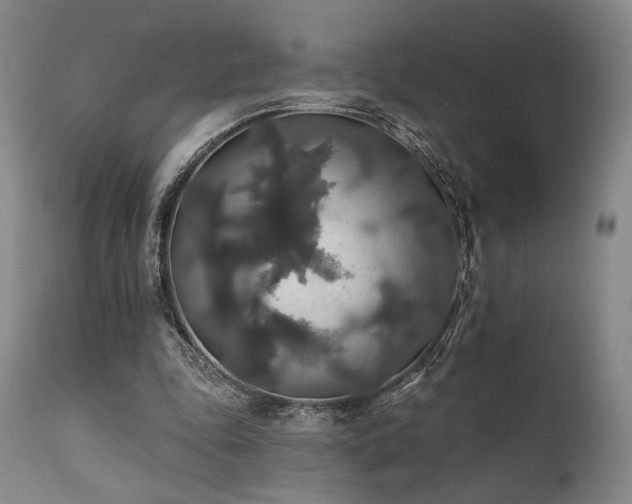 X0000111820343200907231323
