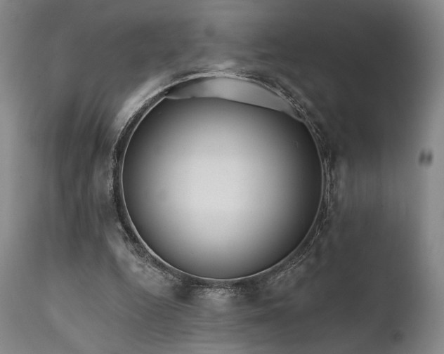 X0000111820344200907231323