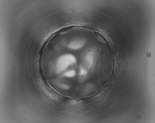 X0000111820346200907231323