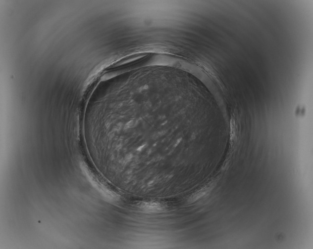 X0000111820349200907231323