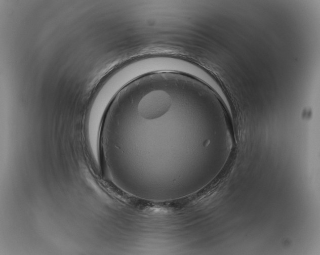 X0000111820352200907231323
