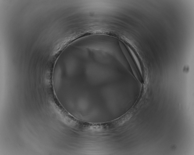 X0000111820353200907231323