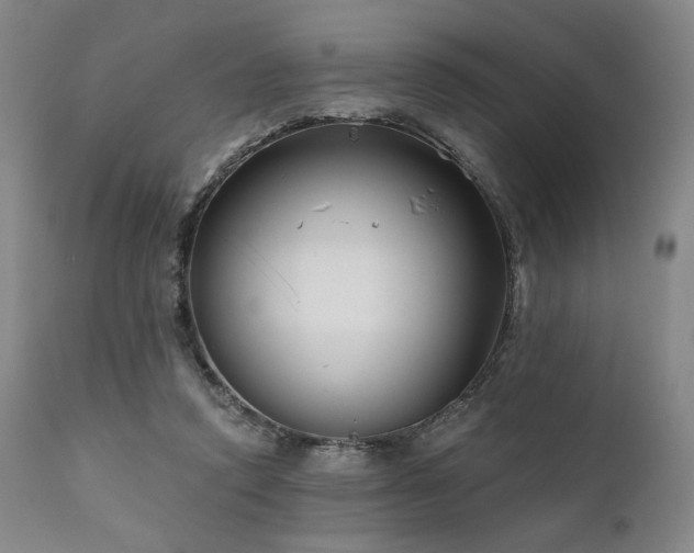 X0000111820354200907231323