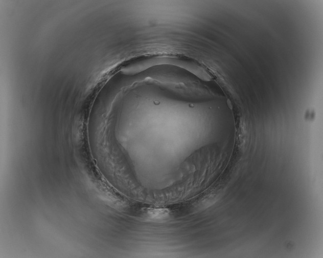 X0000111820355200907231323