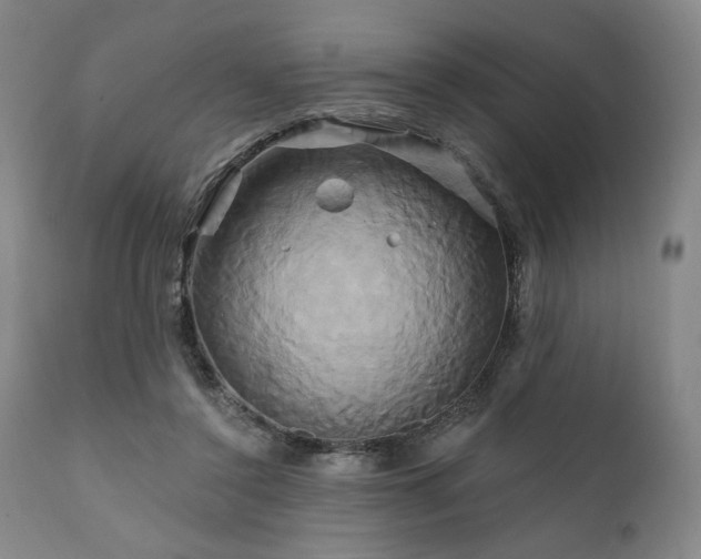 X0000111820356200907231323