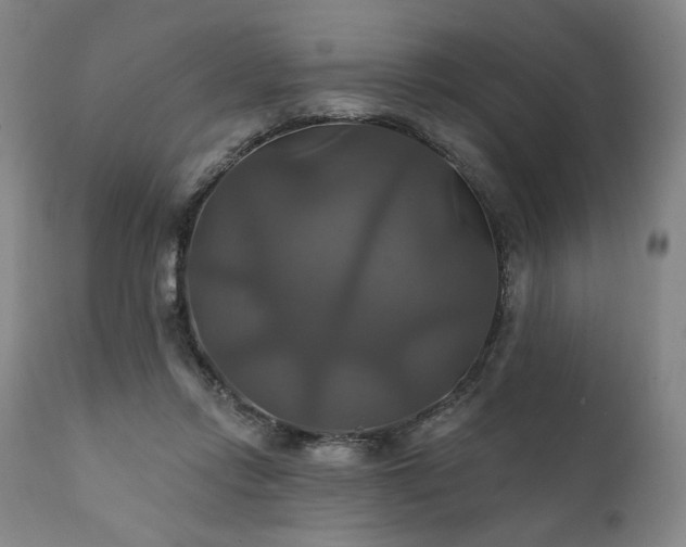 X0000111820358200907231323