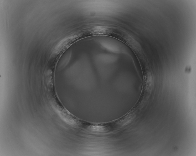 X0000111820361200907231323