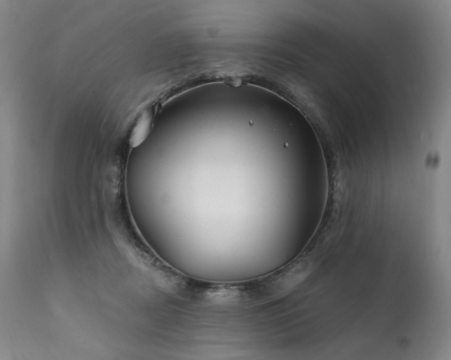 X0000111820362200907231323