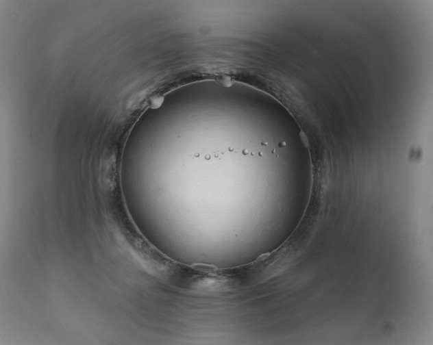 X0000111820364200907231323