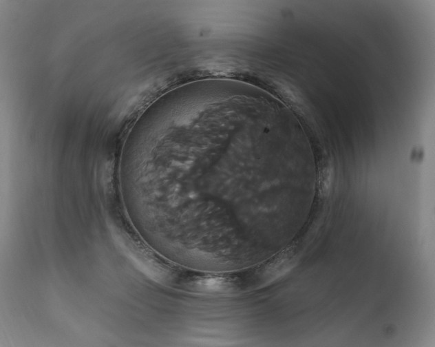 X0000111820365200907231324