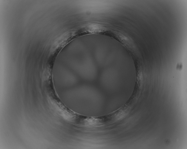 X0000111820367200907231324
