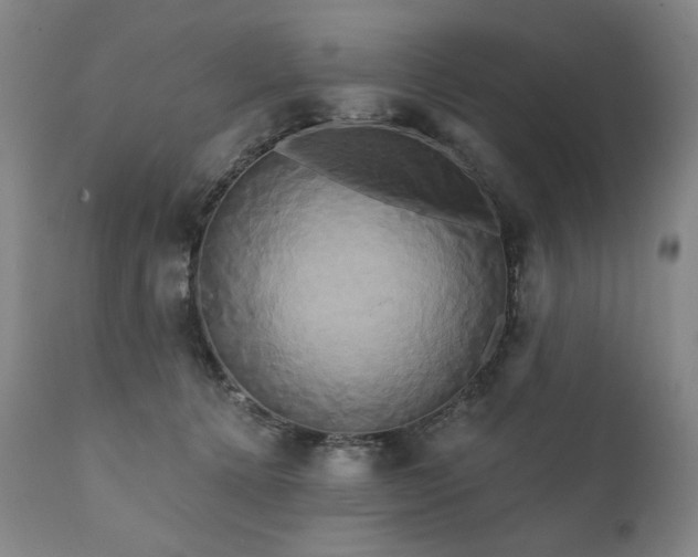 X0000111820368200907231324