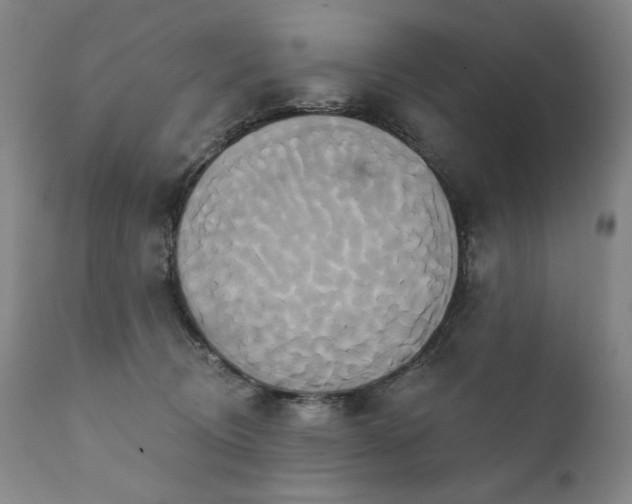 X0000111820370200907231324