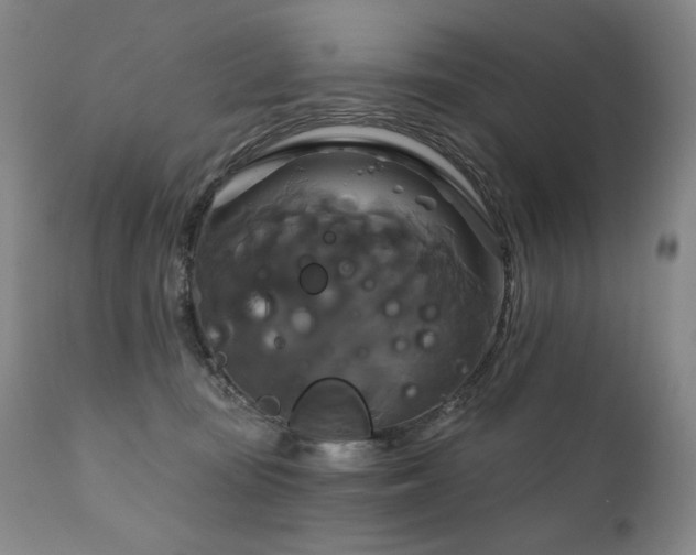 X0000111820371200907231324