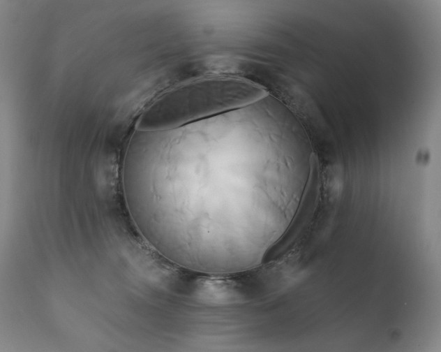 X0000111820372200907231324