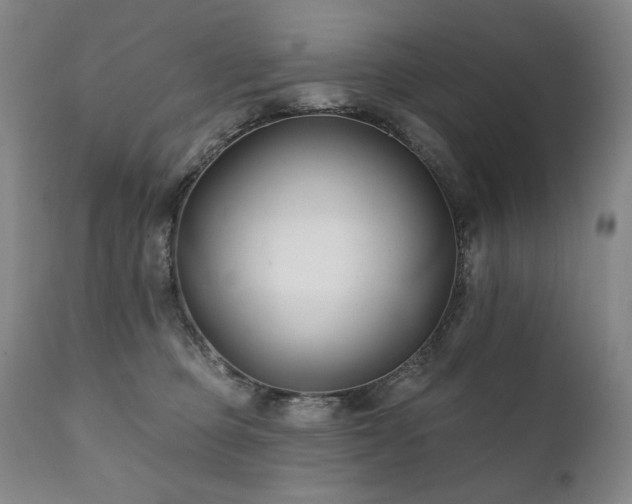 X0000111820373200907231324