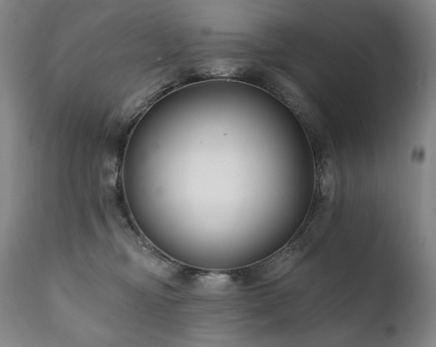 X0000111820374200907231324