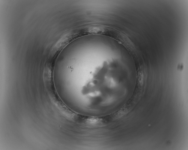 X0000111820375200907231324