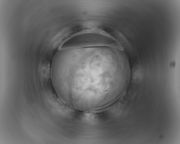X0000111820376200907231324