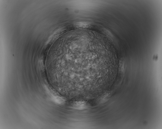X0000111820377200907231324