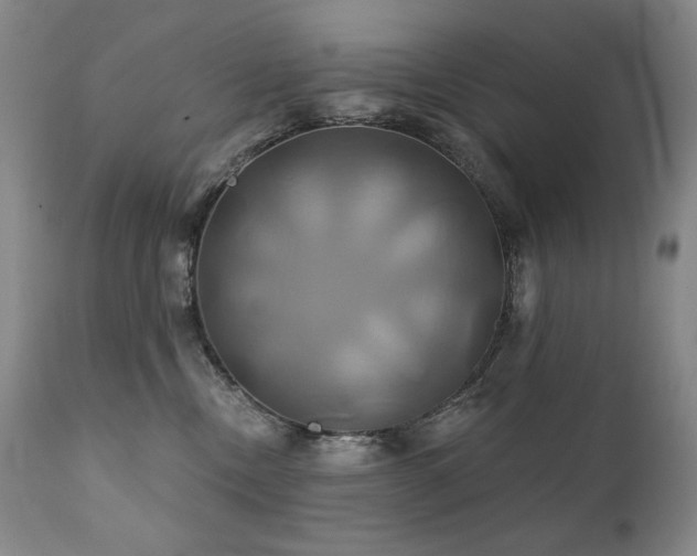 X0000111820378200907231324