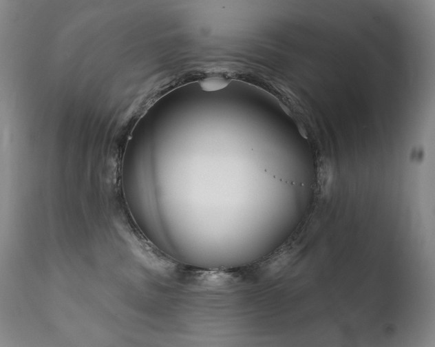X0000111820379200907231324