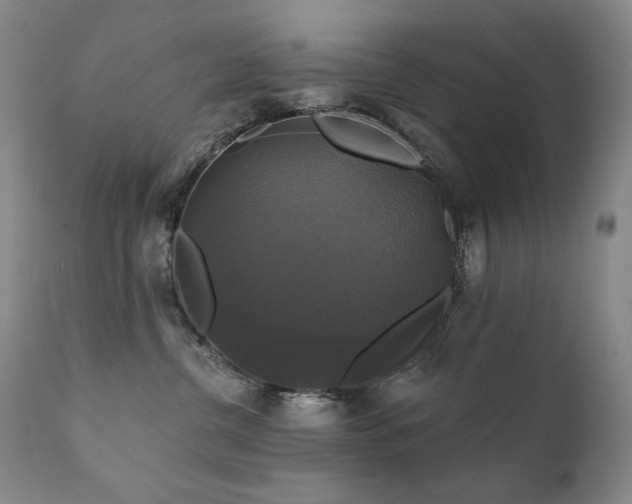X0000111820380200907231324