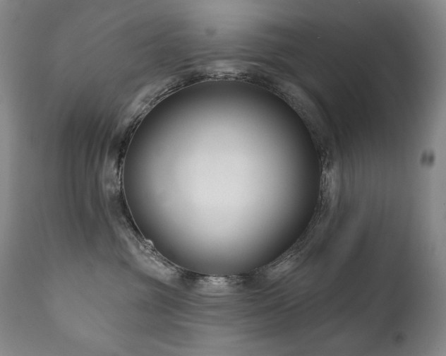 X0000111820381200907231324