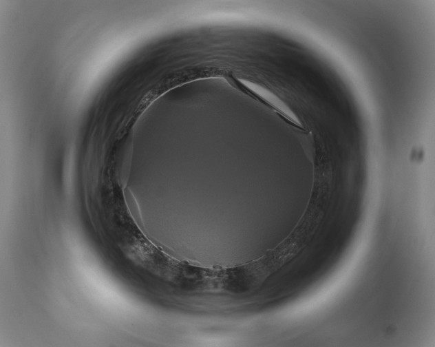 X0000111820382200907231324