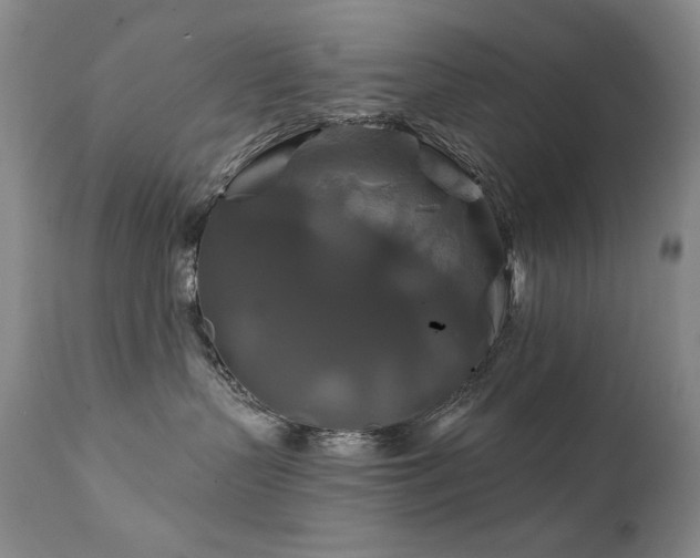 X0000111820383200907231324