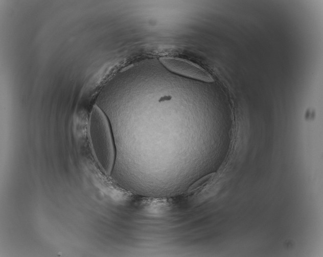 X0000111820384200907231324