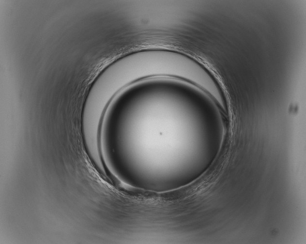 X0000111820385200907231323