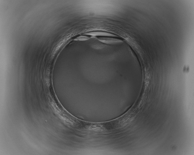 X0000111820386200907231323