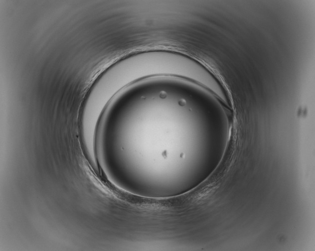 X0000111820389200907231323