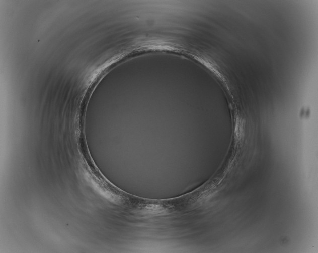 X0000111820390200907231323