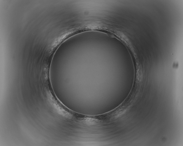 X0000111820393200907231323