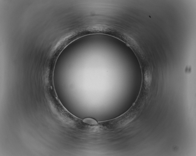 X0000111820396200907231323
