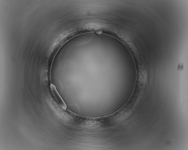 X0000111820399200907231323