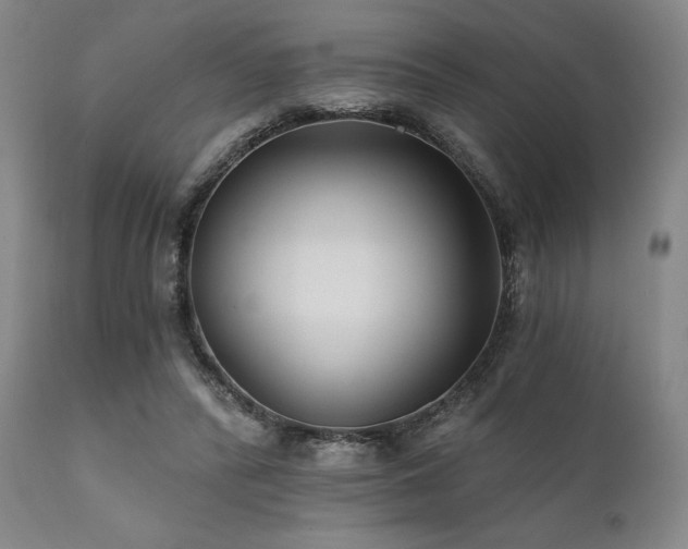 X0000111820400200907231323