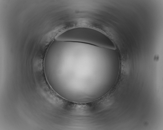 X0000111820401200907231323