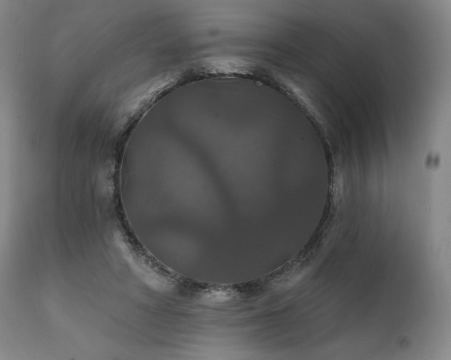 X0000111820402200907231323