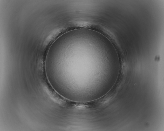 X0000111820407200907231323