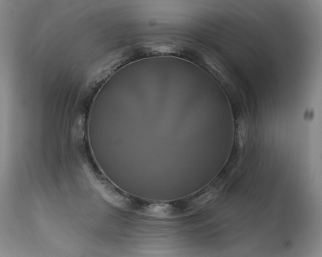 X0000111820410200907231323