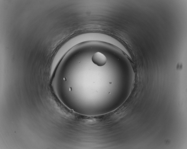 X0000111820411200907231323