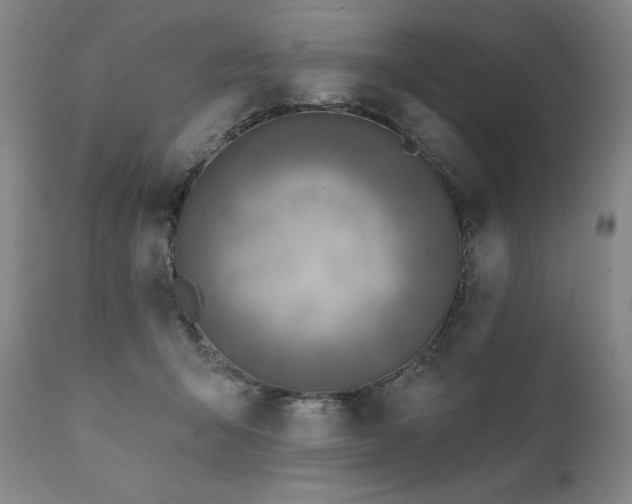 X0000111820415200907231323