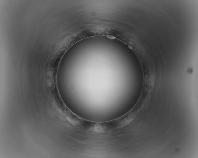 X0000111820416200907231323