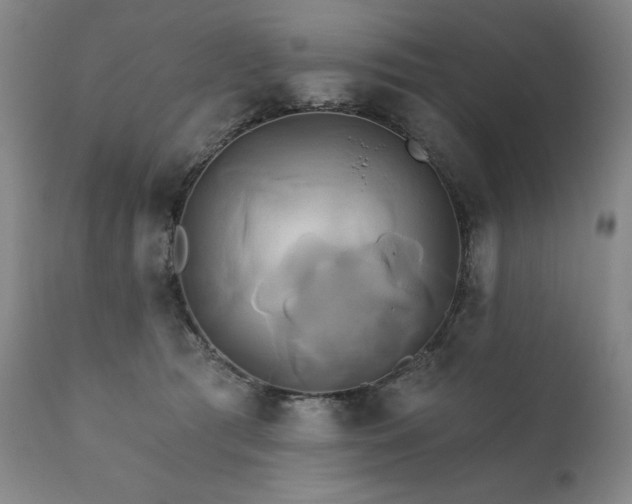 X0000111820417200907231323