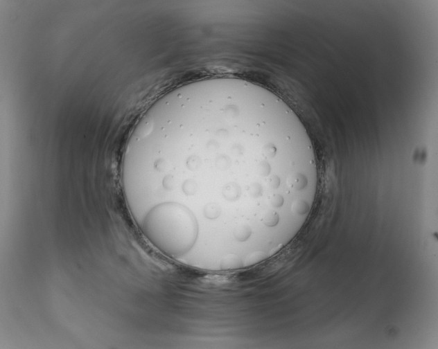 X0000111820418200907231323