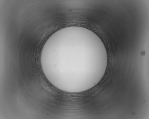 X0000111820419200907231323